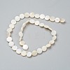 Natural Freshwater Shell Beads X-BSHE-I011-01D-02-2
