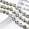 Natural Dalmatian Jasper Beads Strands G-N326-100-02-4