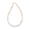 Natural Freshwater Shell Beads Strands SH-CBA2978-05A-3