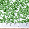 MIYUKI Delica Beads SEED-X0054-DB0754-4