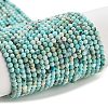 Natural HuBei Turquoise Beads Strands G-G792-38-01-1