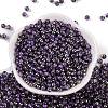 Glass Seed Beads SEED-A032-06W-2