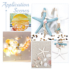 ARRICRAFT Natural Shell & Starfish Resin Cabochons Decorations SHEL-AR0001-13-5