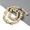 Natural Trochus Shell Beads Strands BSHE-S304-04-2