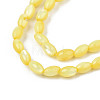 Natural Freshwater Shell Beads Strands SHEL-N003-25-B05-3