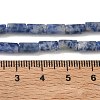 Natural Blue Spot Jasper Beads Strands GG-B091-A25-01-3