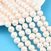 Natural Cultured Freshwater Pearl Beads Strands PEAR-D003-01C-05-1