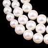 Electroplated Glass Pearl Graduated Beads Strands BSHE-C011-03A-4