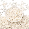 Rubberized Style Glass Seed Beads SEED-Z003-01J-2