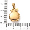 304 Stainless Steel Crystal Rhinestone Pendants RB-CBA2A5E-02G-01-3