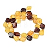 Natural Amber Beads Strands G-Z106-D01-3