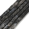 Natural Larvikite Beads Strands G-B091-A20-01-2