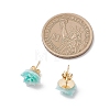 Plastic Stud Earrings EJEW-JE06899-4