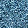 MIYUKI Round Rocailles Beads SEED-G007-RR0279-4