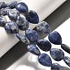 Natural Blue Spot Jasper Beads Strands G-P561-B06-01-2