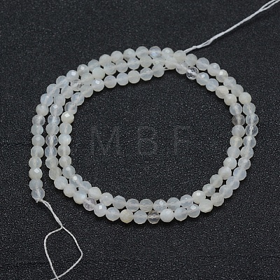 Natural White Moonstone Beads Strands G-E411-07-4mm-1