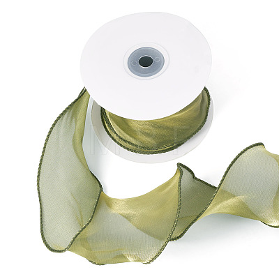Polyester Mesh Ribbon SRIB-TAC0002-29A-02-1