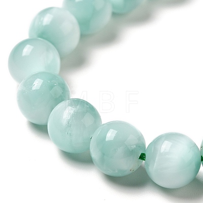 Natural Glass Beads Strands G-I247-31B-1