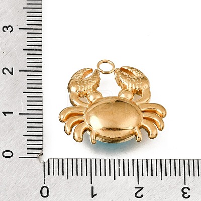304 Stainless Steel Rhinestone Glass Pendants STAS-E531-05G-1