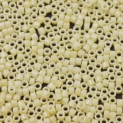 MIYUKI Delica Beads SEED-J020-DB2101-1