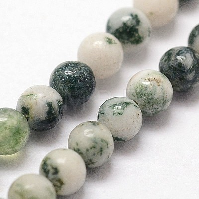 Natural Tree Agate Beads Strands X-G-N0192-01-3mm-1
