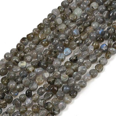 Natural Labradorite Beads Strands G-Q060-B02-1