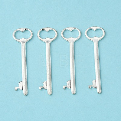 Tibetan Style Zinc Alloy Key Big Pendants LS-EA11911Y-1