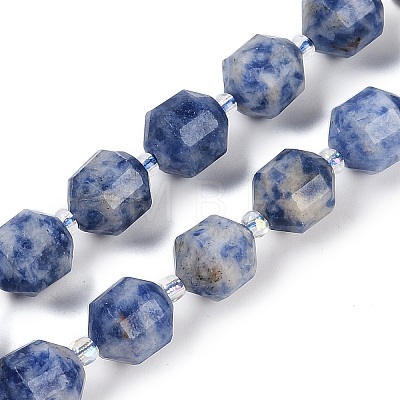 Natural Blue Spot Jasper Beads Strands G-O201B-141G-1