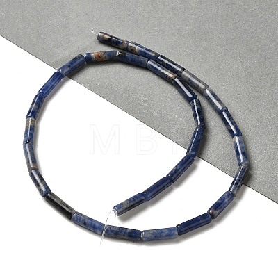 Natural Sodalite Beads Strands G-D464-25-1