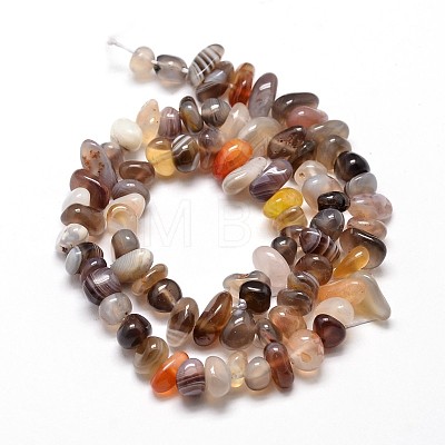 Natural Botswana Agate Chip Beads Strands G-E271-104-1