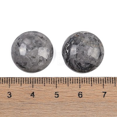 Natural Map Stone Cabochons G-T020-18mm-30-1