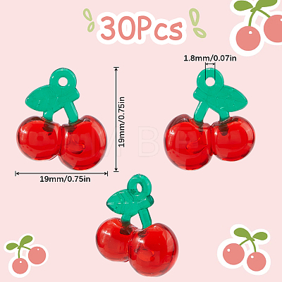 30Pcs Resin Imitation Fruit Pendants CRES-SC0002-94-1