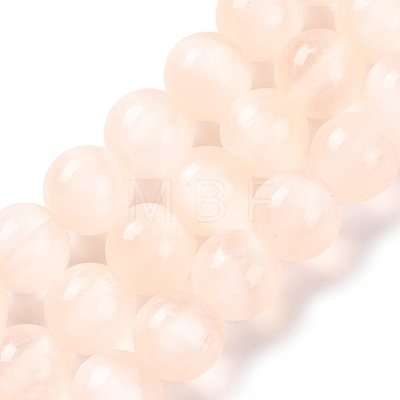 Natural Selenite Beads Strands G-C142-01B-08-1