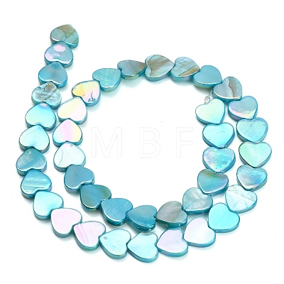 Natural Freshwater Shell Beads Strands SH-CBA93AD-06A-1