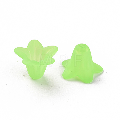 Transparent Acrylic Beads PLF018-05-1