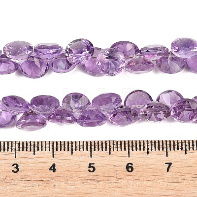 Natural Amethyst Beads Strands G-Z152-B01-02-1