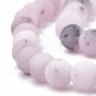 Natural Plum Blossom Jasper Beads Strands G-T106-276-1