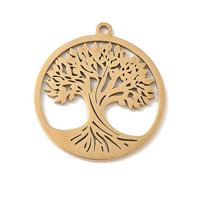 304 Stainless Steel Pendants X-STAS-V016-11G-1