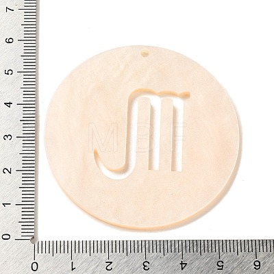 Acrylic Pendants LS-SACR-S680-06K-1