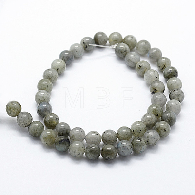 Natural Labradorite Beads Strands G-I199-15-6mm-1
