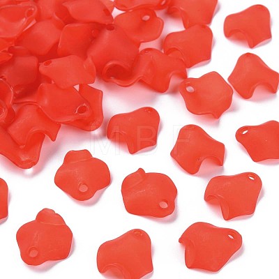 Transparent Acrylic Beads MACR-S373-106-D-1