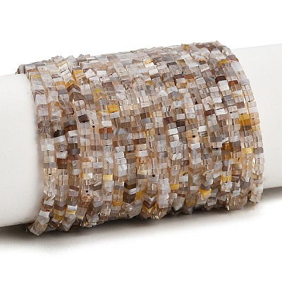 Natural Botswana Agate Beads Strands GG-CBA2498-C06-01-1