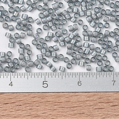 MIYUKI Delica Beads X-SEED-J020-DB1793-1