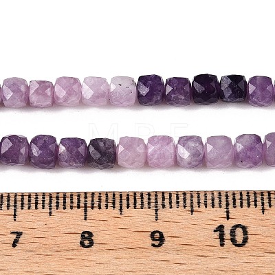 Gradient Color Natural Lepidolite Beads Strands G-N342-138B-1