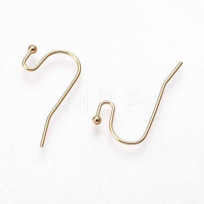 Brass Earring Hooks X-KK-R037-13G-1