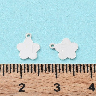 925 Sterling Silver Charms STER-F053-13S-1