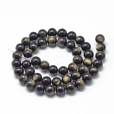 Natural Golden Sheen Obsidian Beads Strands G-R446-14mm-23-1