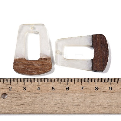 Resin & Wood Pendants WOOD-F015-11A-1