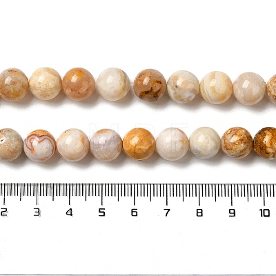 Natural Crazy Agate Beads Strands G-H298-A12-04-1
