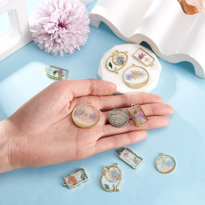 10Pcs 2 Styles Transparent Resin Pendants RESI-TA0005-61-1
